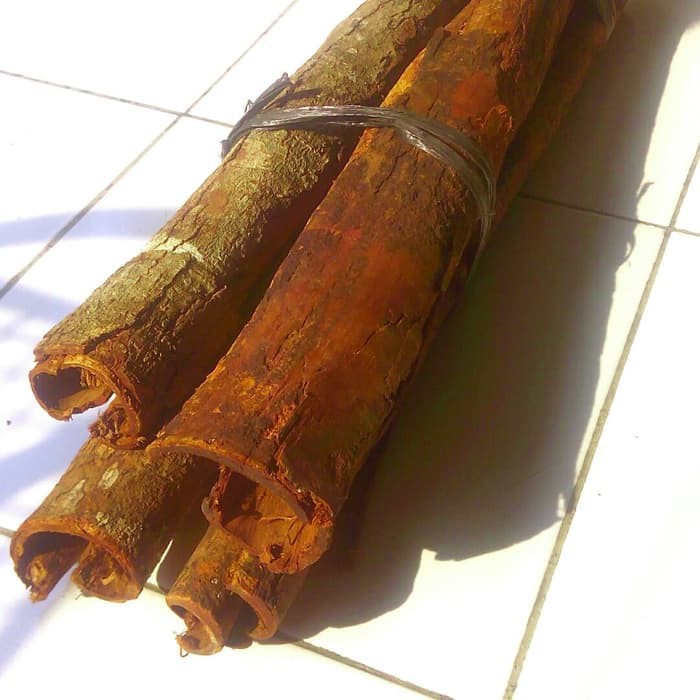 Penelitian ini bertujuan untuk melakukan eksplorasi berbagai jenis kulit kayu . Jual Kulit Kayu Raru Berkualitas Indonesia Shopee Indonesia