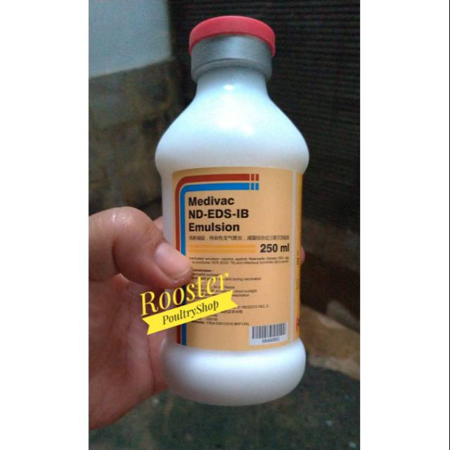 Jual Vaksin Inaktif Medivac Nd Ib Emulsion 500 Ml 1000 Ekor Kota Surabaya Sinar Harapan Jy 