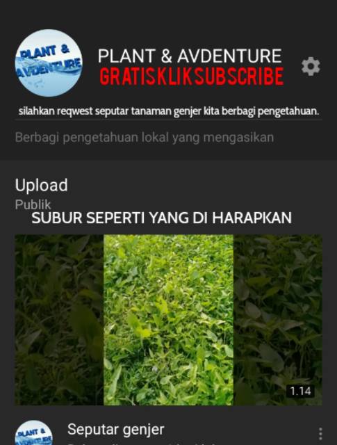 Cara ini digemari karena untuk menanam tumbuhan tidak lagi diperlukan tanah dan lahan yang luas. Tanaman Genjer Hidroponik - cara budidaya tanaman hidroponik