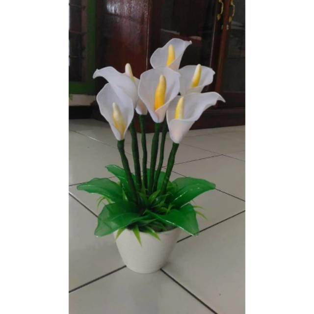 Gratis Unduh Gambar Tulip Flower White Desktop Wallpaper Lilium Lily Flowers PNG Terkeren oleh www.lampunghits.com