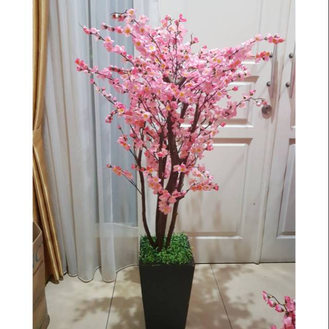 Dapatkan Gambar Elemen Bunga Sakura Merah Muda Yang Sederhana Dan Indah Elemen Terkeren by Lampunghits.com