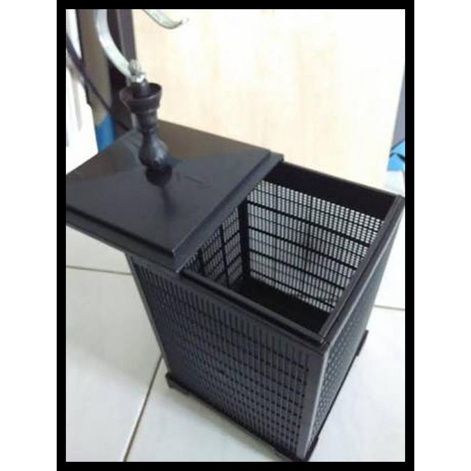 Harga Jangkrik Kandang Terbaru Oktober 2021 | BigGo Indonesia