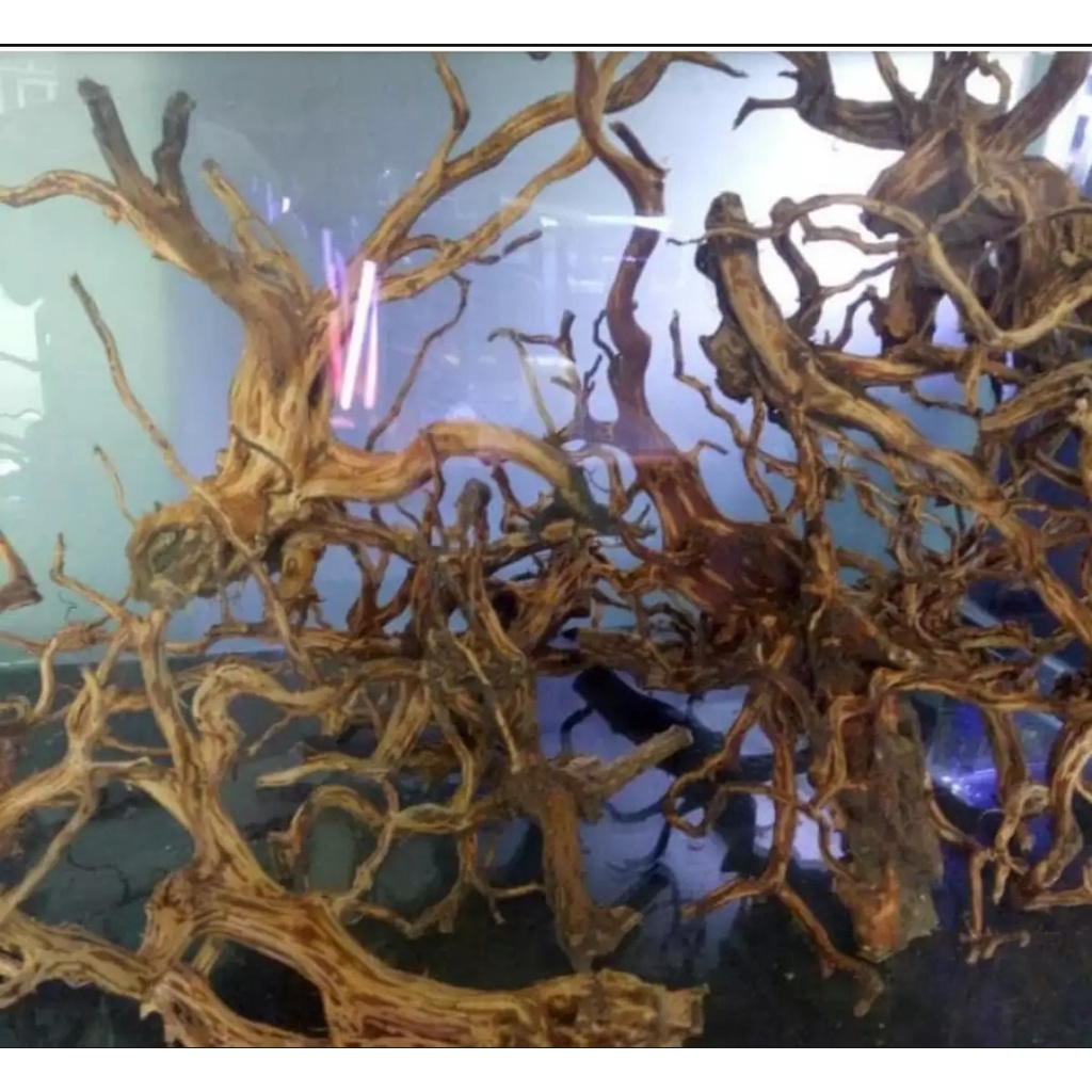 Jual kayu rasamala aquascape size s