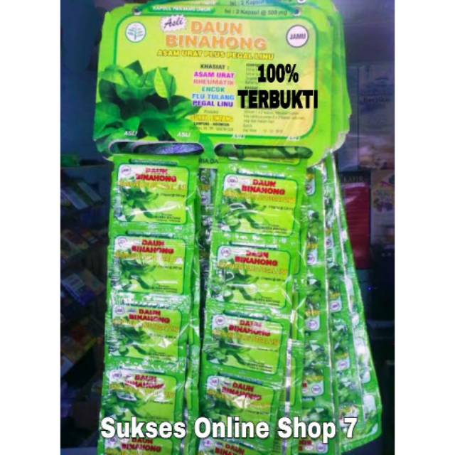 Daun Binahong Kapsul Asli Kaya Khasiat Obat Asam Urat Kolestrol