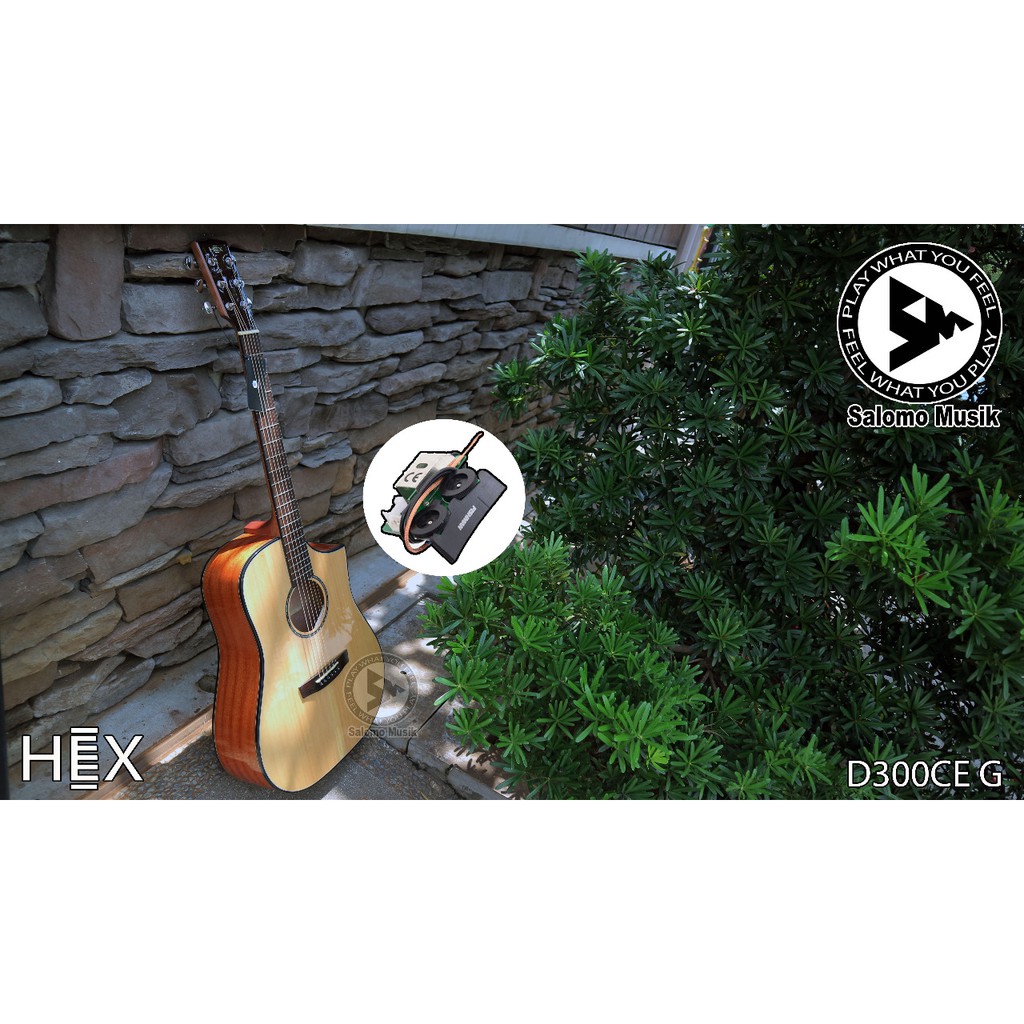 Jual Hex D300ce G Natural Acoustic Electric Guitar Jakarta Selatan Anjanistore5 