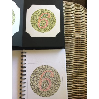 Everyone should see number 12. Buku Ishihara 38 Plates Japan Shopee Indonesia