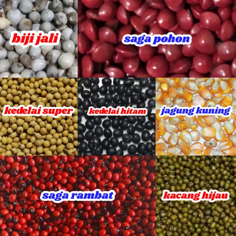 Jual Paket Bahan Kolase Indonesia|Shopee Indonesia 800_X_800_jpg