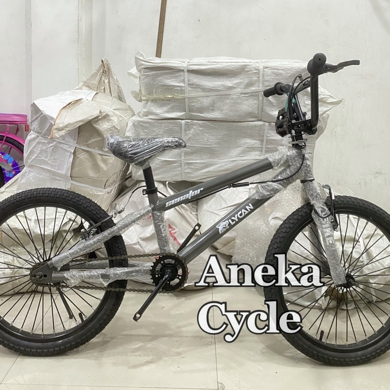 Rekomendasi sepeda bmx yang ketiga adalah bmx senator torpedo. Harga Bmx Freestyle Senator Terbaru November 2021 Biggo Indonesia