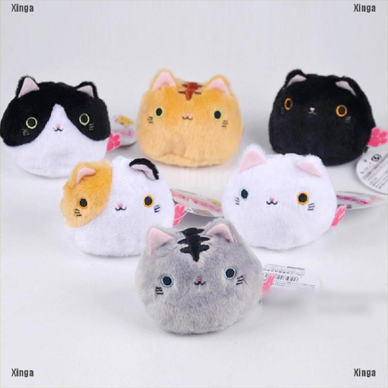 Download Gratis Gambar 5000 Gambar Kucing Lucu Imut Dan Paling Menggemaskan Sedunia Terbaru oleh Lampung Hits