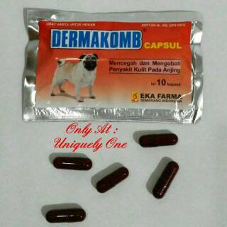 Dermakomb Capsul Dog Obat Kulit Anjing Gatal Gatal Bulu Rontok