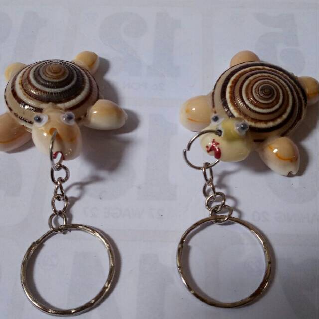 Kulit kerang memang memenuhi tempat sampah, karena ukuran daging kerang yang kecil membuat limbah dari cangkang kerang ini menjadi menumpuk dan tidak sedap dipandang. Souvenir Gantungan Kunci Kura Kura 02 Shopee Indonesia
