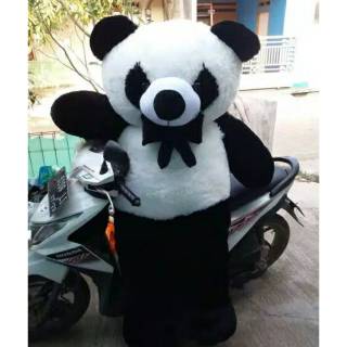 Free Gambar Large Cute New Teddy Bear Panda Doll Bear Hug Colorful Plush Toy Terupdate oleh Lampung Hits