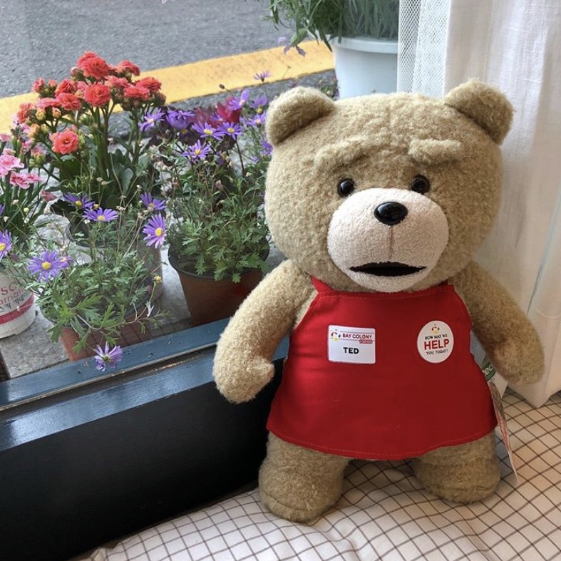 Gratis Unduh Gambar Jual Boneka Lucu Teddy Bear Yang Besar Warna Coklat Giant Cocok Terbaru by Lampung Hits