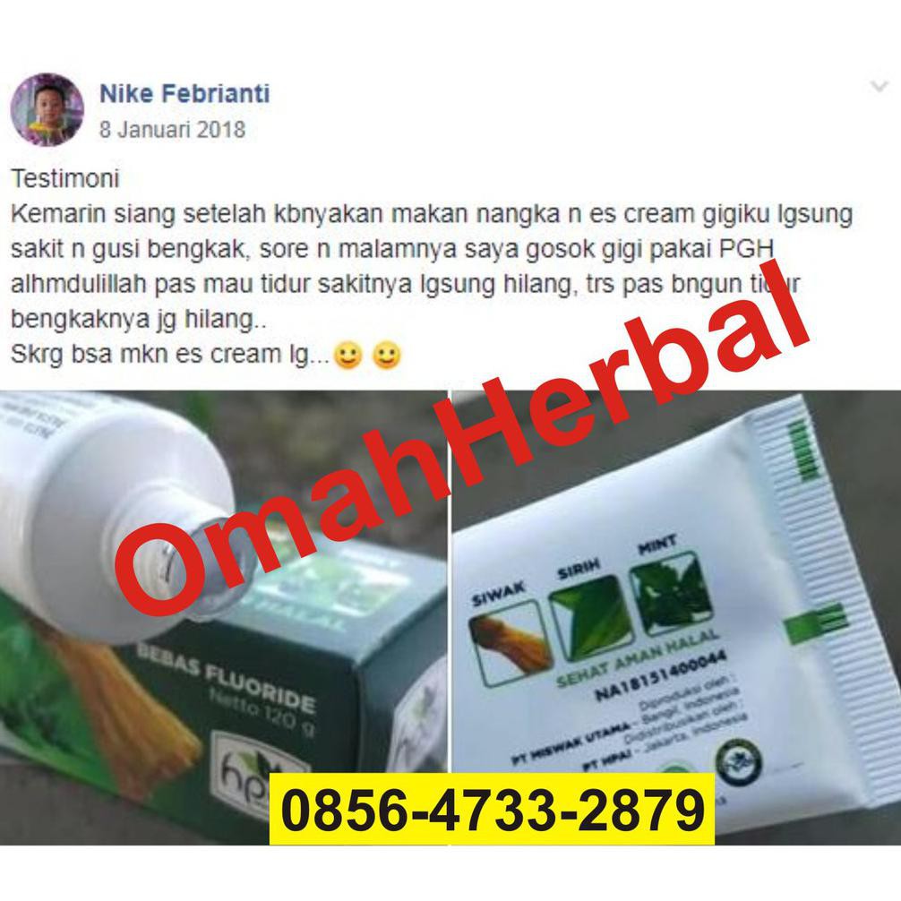 Promo Obat Herbal Gusi Bengkak Hni Hpai Sakit Alami Anak Apotik