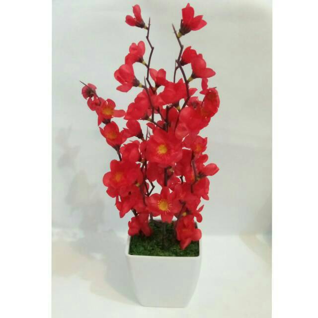 Free Gambar Bunga Sakura Plastik Home Furniture On Carousell Terupdate oleh Lampung Hits