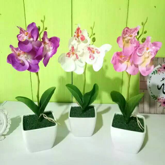 Promo & diskon murah ⚡100% original 15 hari retur ⌛ pengiriman cepat gratis ongkir Bunga Anggrek Plastik Bunga Anggrek Palsu Anggrek Bulan Anggrek Artificial Shopee Indonesia