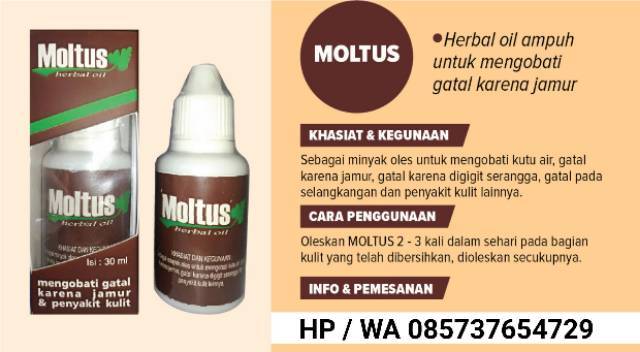 Jual Obat Herbal Ampuh Untuk Mengobati Gatal Karena Jamur Dan