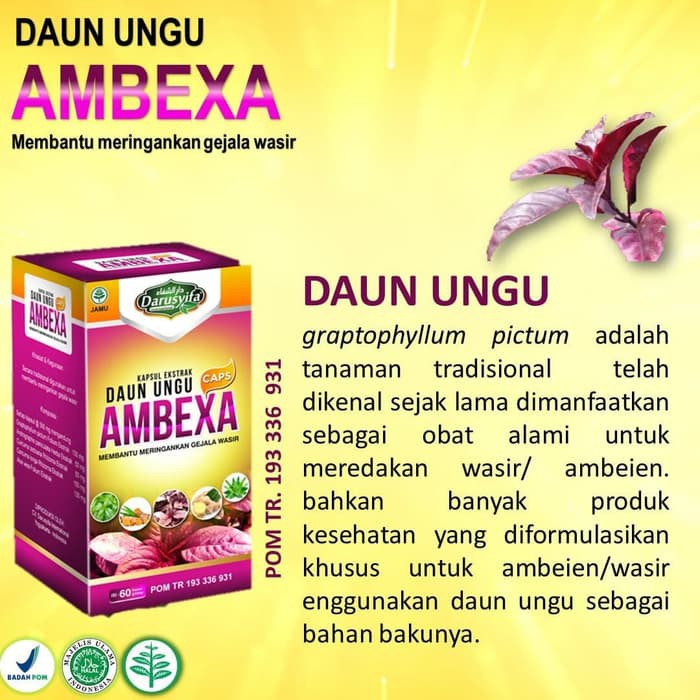 CARA MENGOBATI AMBEIEN SECARA ALAMI DAN CEPAT - OBAT WASIR | Shopee  Indonesia
