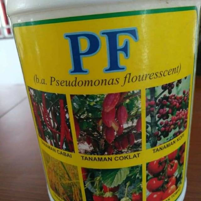 Obat Busuk Rimpang Jahe, Layu Bakteri pada Cabai (Pseudomonas Fluorescens)  (PF) | Shopee Indonesia