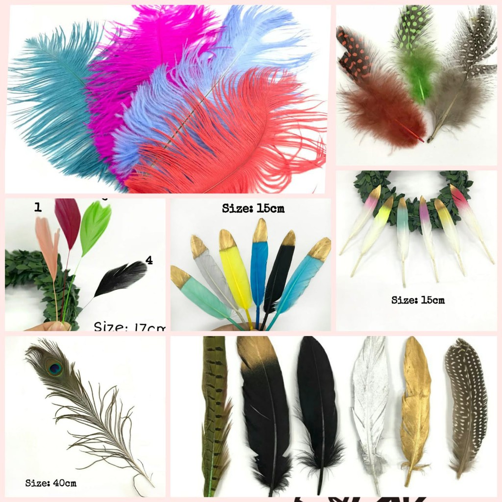 Cara Membuat Topi Dari Bulu Ayam Ayo Berkreasi Pelajaran Kelas 1 Sd Untuk membuat artikel ini 21 penyusun beberapa di antaranya anonim menyunting dan memperbaiki dari waktu ke waktu.