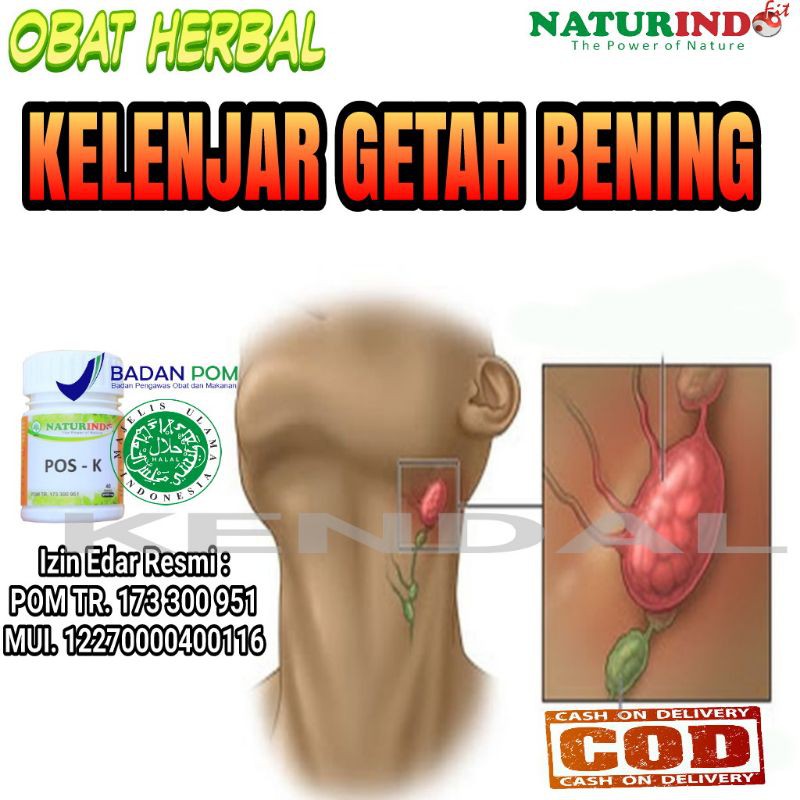Apa itu kelenjar getah bening? Jual Obat Kelenjar Getah Bening Herbal Ampuh Benjolan Di Leher Kanker Kelenjar Tumor Indonesia Shopee Indonesia