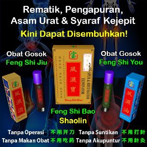 Obat Rematik Fengshibao Pinggang Obat Tradisional Sakit Penyakit