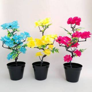 Toko kain online dengan spesialisasi berbagai jenis kain katun seperti katun jepang, katun poplin, katun rayon, katun tencel, dll. Bonsai Sakura Tabebuya Surabaya artificial | Shopee Indonesia