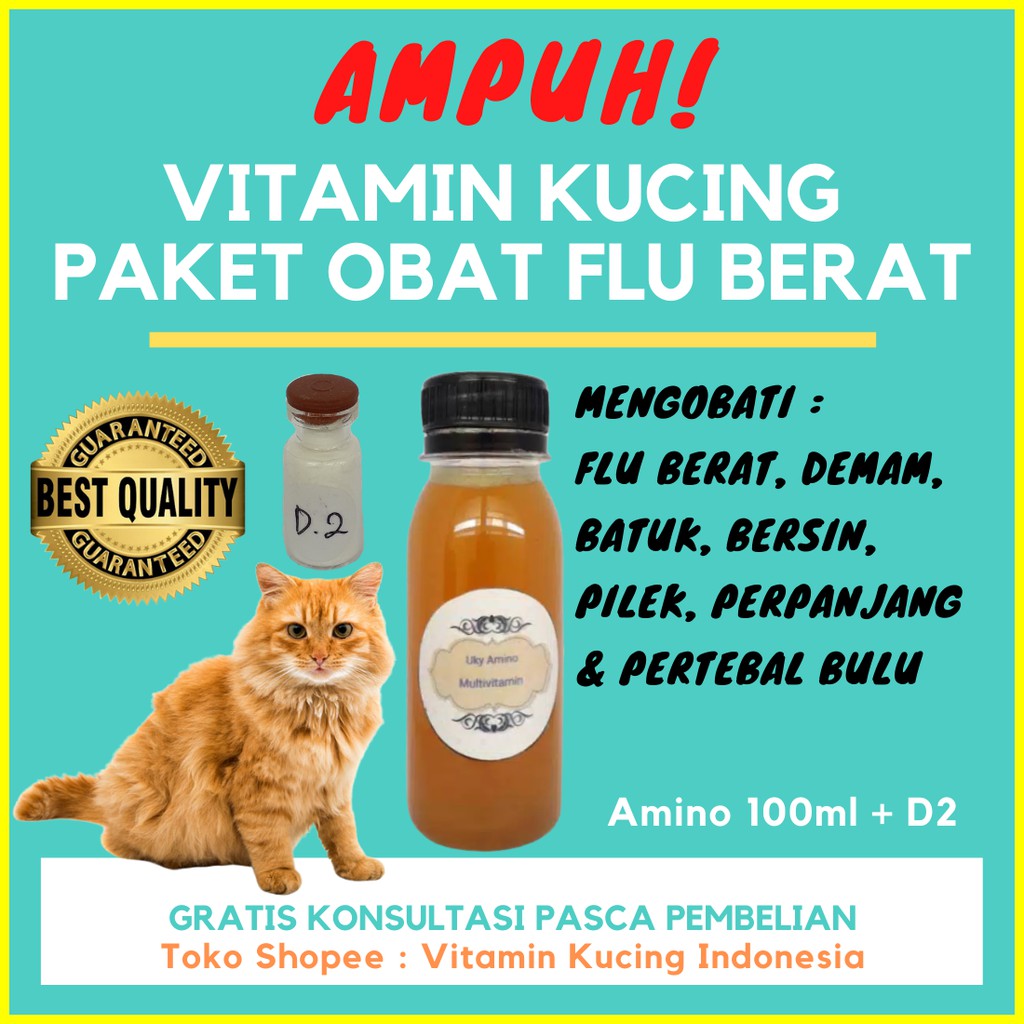 Jual [B02] VITAMIN KUCING OBAT KUCING CATFOOD JAMUR KUCING BULU KUCING FLU  VIRUS VITAMIN KUCING INDONESIA Indonesia|Shopee Indonesia