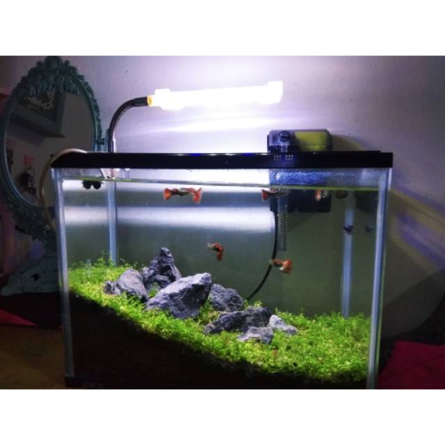 Aquascape memiliki fungsi yang sama dengan aquarium. Jasa Pembuatan Aquascape Tema Iwagumi 60cm Shopee Indonesia