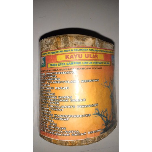 Kayu Ular Asli Dari Papua Limited Shopee Indonesia