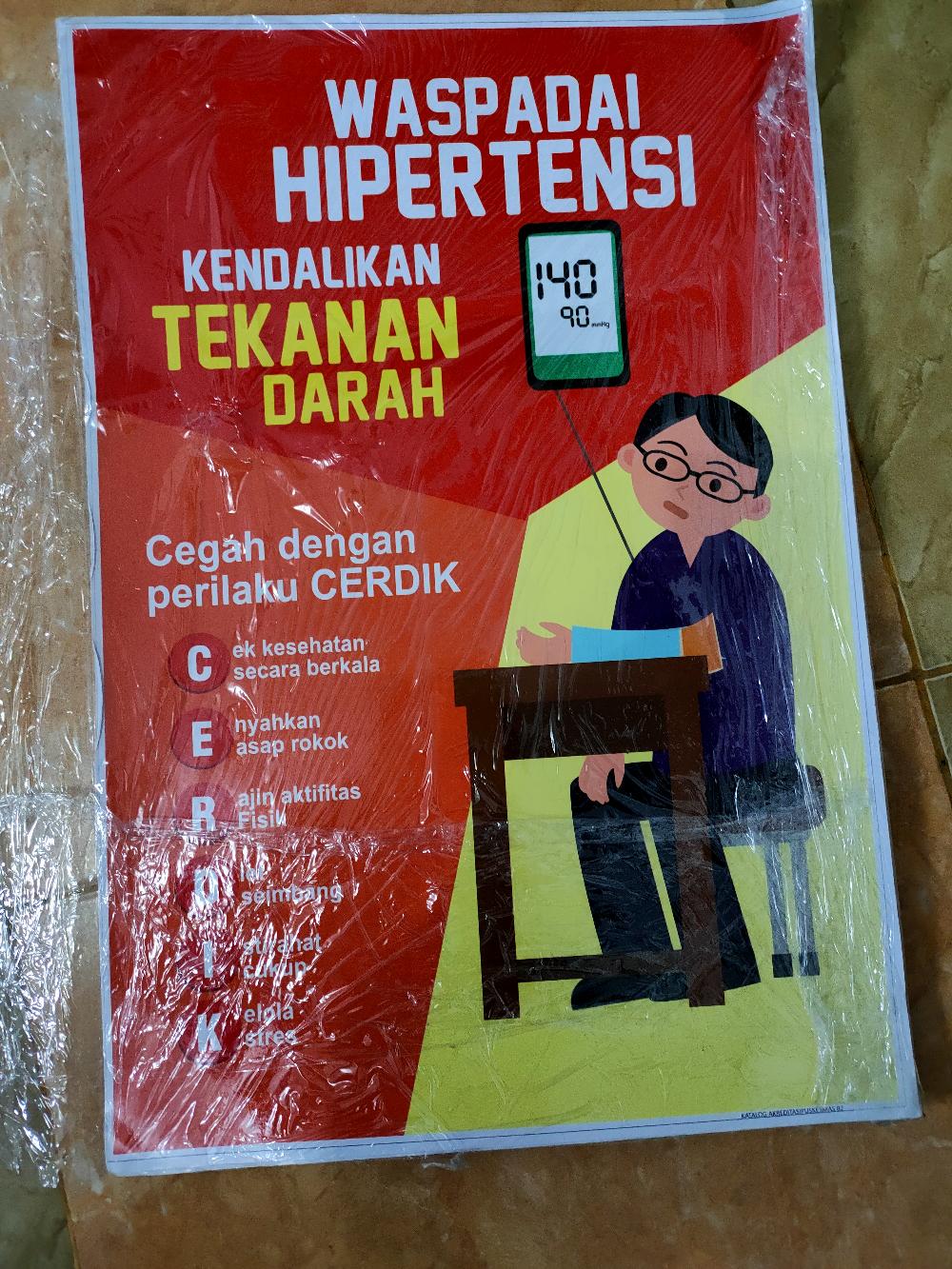 Waspada nyamuk aedes aegypti terbaru di shopee. Jual Poster Waspada Nyamuk Aedes Aegypti Kode Ke 6 Indonesia Shopee Indonesia