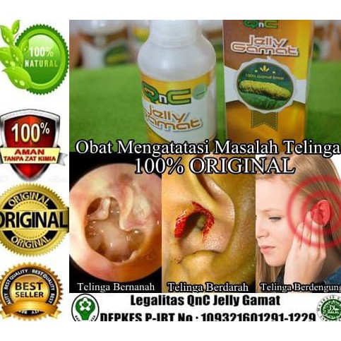 Qnc Jelly Gamat Obat Telinga Bernanah Berdengung Berair