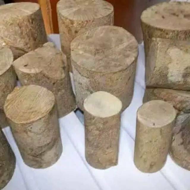 Kayu ular merupakan kayu yang berasal dari tumbuhan dengan famili loganiaceae (logania, . Kayu Papua Asli Kayu Ular Papua Kayu Bidara Mengobati Berbagai Penyakit Shopee Indonesia