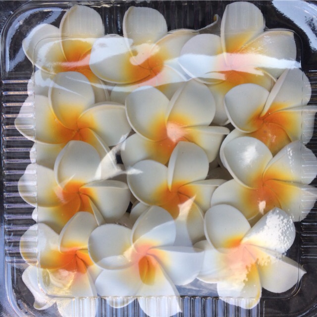 Free Gambar Jual Lukisan Dekorasi Dinding Bunga Kamboja Bali Kuning Lk 1250 Terkeren by Lampunghits.com