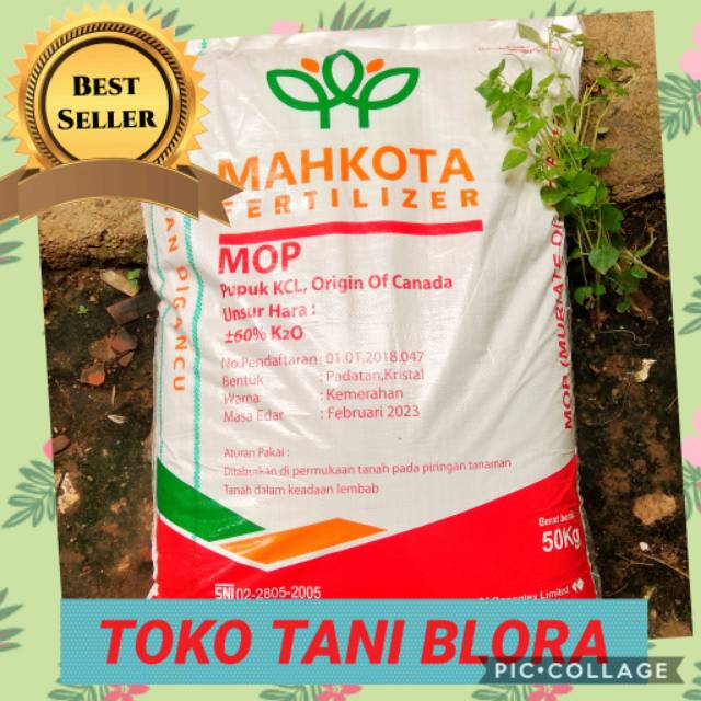PUPUK KALIUM CHLORIDA/KCL MAHKOTA (1KG atau 1000GRAM) | Shopee Indonesia