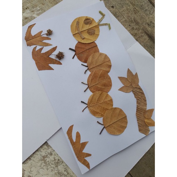 Harga Kolase Daun Kering Terbaru Januari 2022 | Biggo Indonesia 600_X_600_jpg