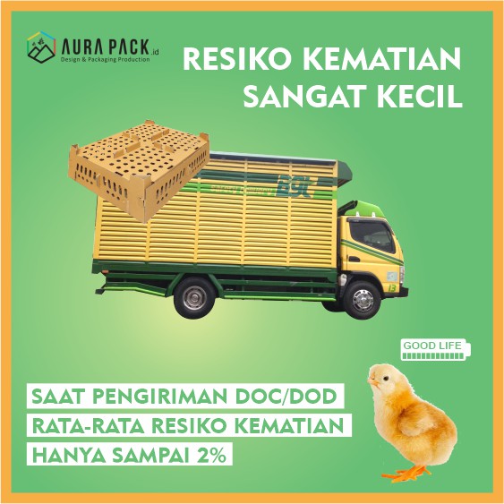 Unggas dewasa dari daerah tidak bebas flu burung. Kardus Anak Ayam Box Doc Dod Anakan Ayam Anakan Bebek 4 Sekat Ruang 65x50x15 Cm Isi 12 Pcs Shopee Indonesia