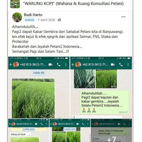 Berdasarkan pengalaman pribadi, saya cukup senang dengan kinerja dari pupuk kalium fosfat multi kp ini. Sup3r Seller Fr 26ma3ac Salmar Andalan 500 Ml Pupuk Daun Nutrisi Tanaman Shopee Indonesia