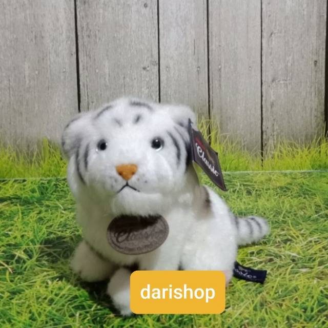 Cover Image of the Post