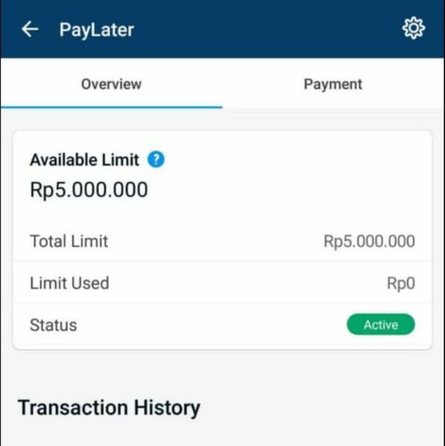 Pesan tiket pesawat dan kamar hotel dengan kode promo traveloka rp 500k flrd04a. Paylater Traveloka Limit 5 Juta Shopee Indonesia