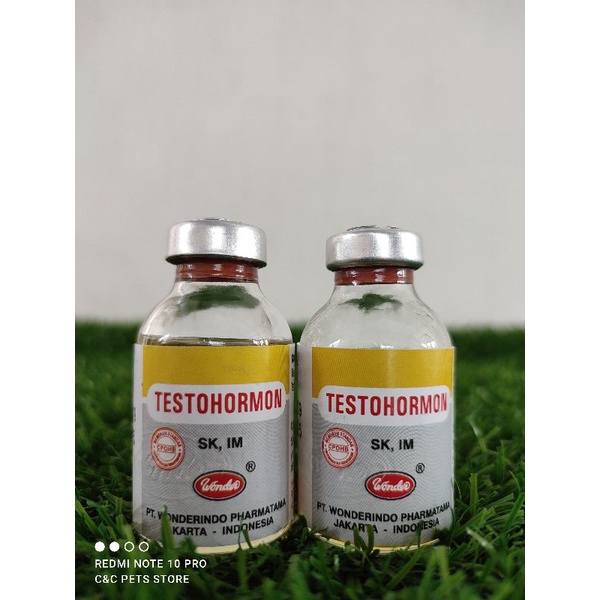 Adapun untuk menyukseskan penelitian ini, para peneliti memberikan jus yang sudah dicampur alkohol 6 persen. Testohormon Injeksi 20 Ml Penambah Birahi Untuk Hewan Peliharaan Jantan Shopee Indonesia