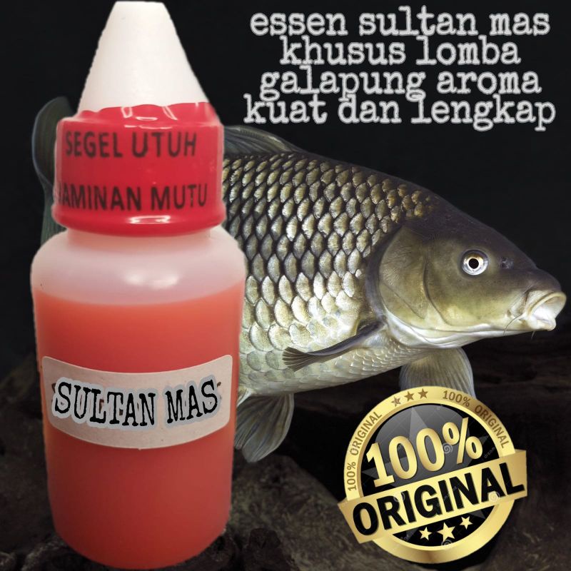 Jual essen paling gacor buat ikan mas essen sultan ikan mas essen