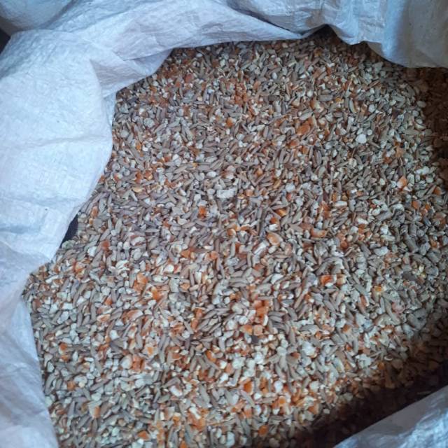 JAGUNG CAMPUR MAKANAN AYAM BURUNG DERKUKU BURUNG PUTER PER 1 KG | Shopee  Indonesia