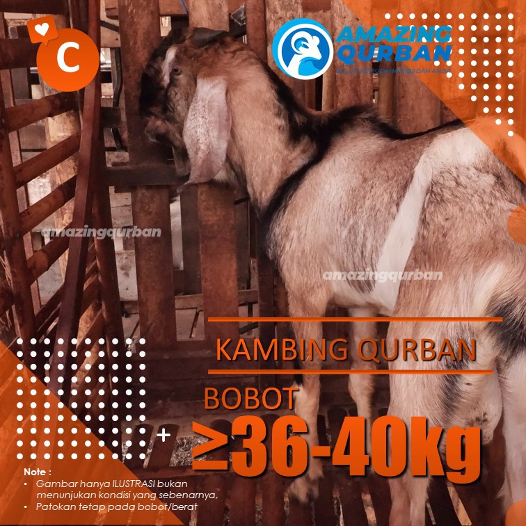 Kambe K Explore Tumblr Posts And Blogs Tumgir 