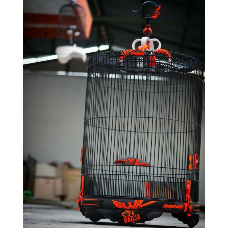 Harga sangkar murai radja spike, sangkar kotak radja decal . Sangkar Murai Radja 3d Carbon Shopee Indonesia