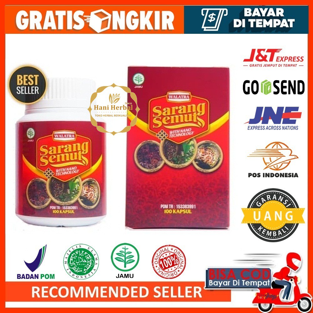 Obat Penyakit Paru Paru Tradisional 100 Alami Paru Paru Basah