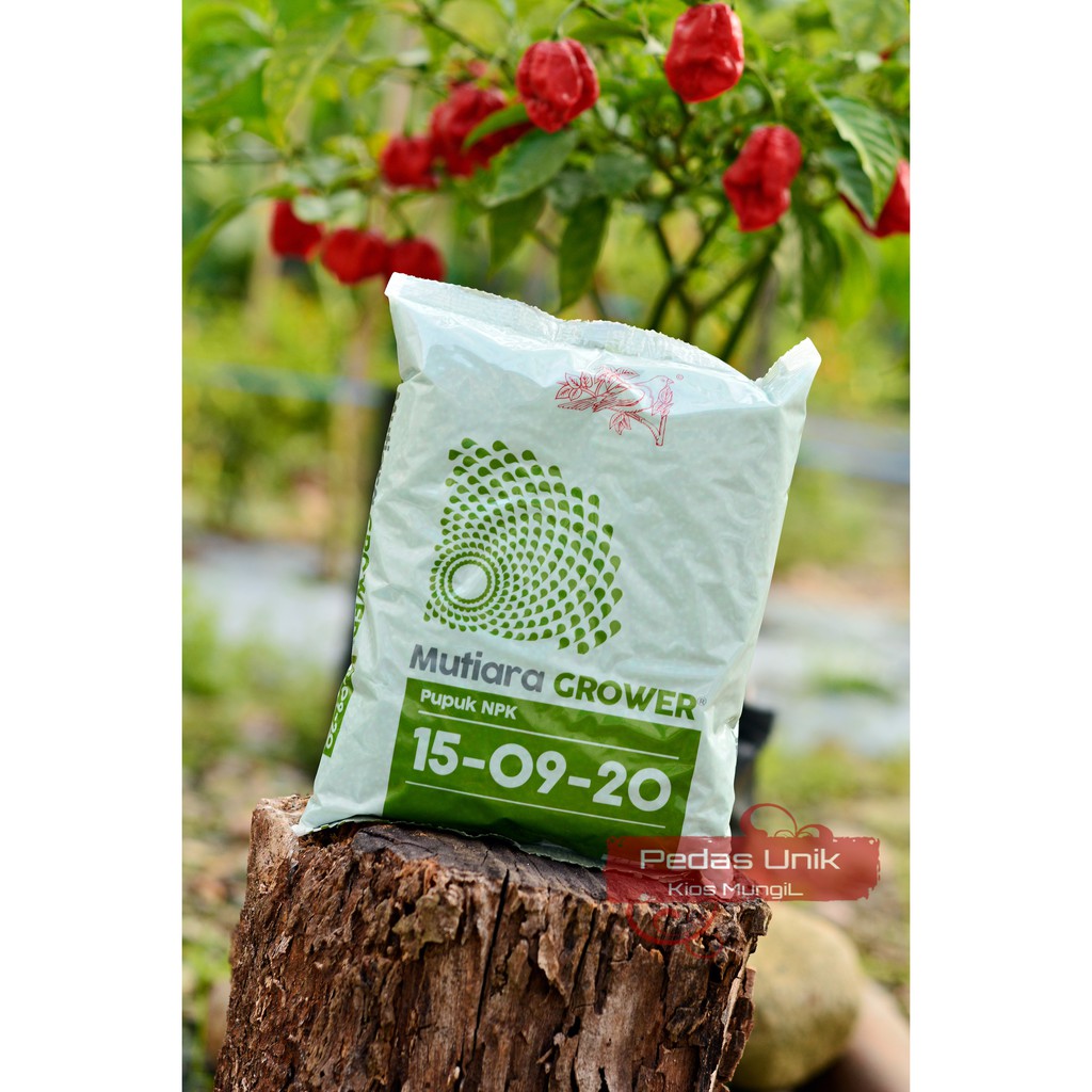 PUPUK MUTIARA GROWER PUPUK NPK 15 - 09 - 20. BAIK UNTUK MASA PEMBUAHAN |  Shopee Indonesia