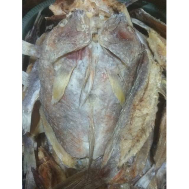 Download Gratis Gambar Mancing Ikan Kerapu Grouper Di Anyer Potenzi Fishing Terbaru by Lampunghits.com