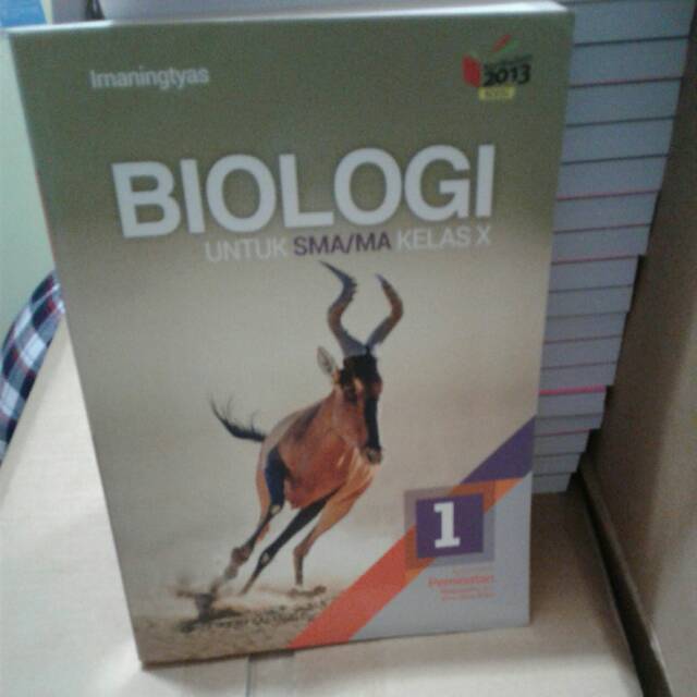 Ma kelas x penerbit erlangga . Buku Biologi 1 Sma Ma Kelas 10 Irnaningtyas Erlangga Shopee Indonesia