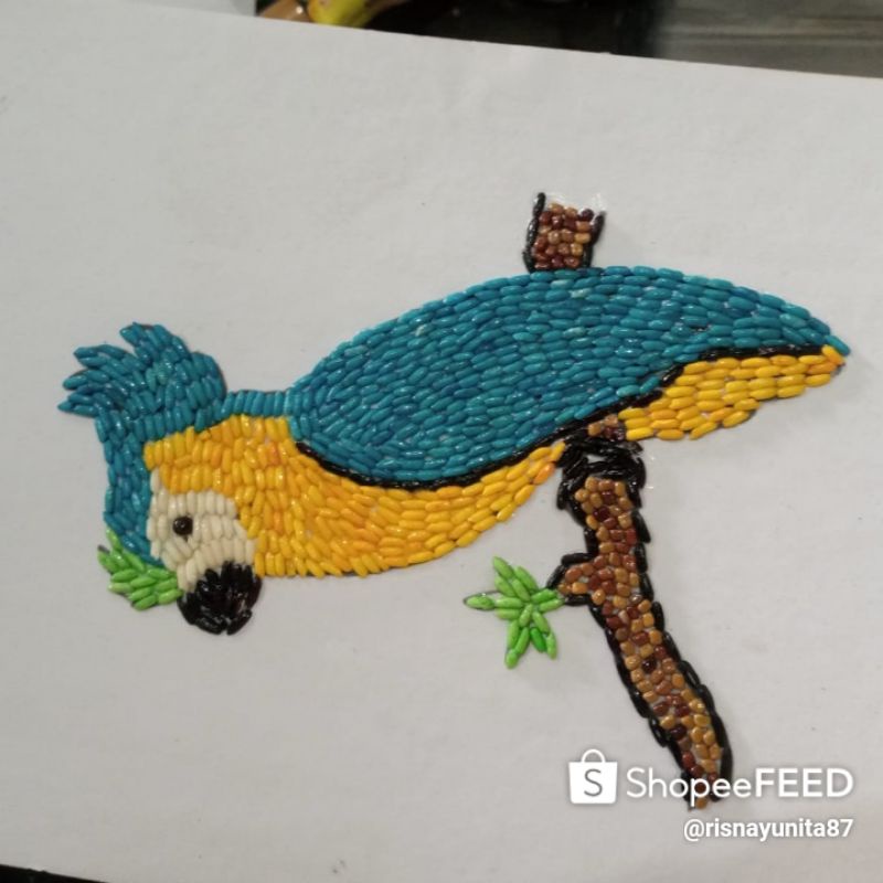 Jual Kolase Burung Indonesia|Shopee Indonesia 800_X_800_jpg